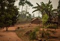 Деревня в Конго. Архивное фото