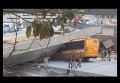 В Бразилии рухнул мост. Видео