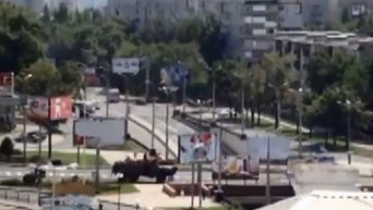 В сторону донецкого аэропорта едет колонна ополченцев ДНР. Видео