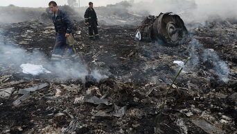 Крушение малайзийского Boeing на Украине