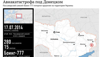 Авиакатастрофа под Донецком. Инфорграфика