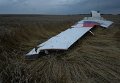 Крушение малайзийского Boeing в Украине
