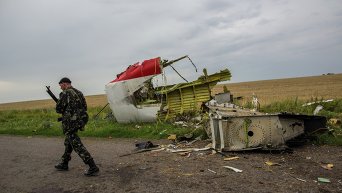Поисковые работы на месте крушения Boeing 777 в Украине