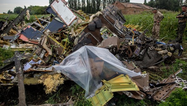 Поисковые работы на месте крушения Boeing 777 в Украине. Архивное фото