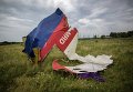 Поисковые работы на месте крушения Boeing 777 в Украине
