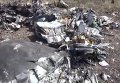 Ополченцы сбили истребитель МИГ-29 в Луганской области. Видео