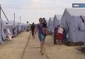 Быт беженцев из Украины в Ростовской области. Видео