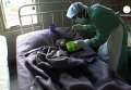 ВОЗ призывает быстрее дать вакцины больным лихорадкой Эбола. Видео