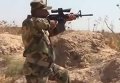 Иракская армия наступает на занятый боевиками город Тикрит. Видео