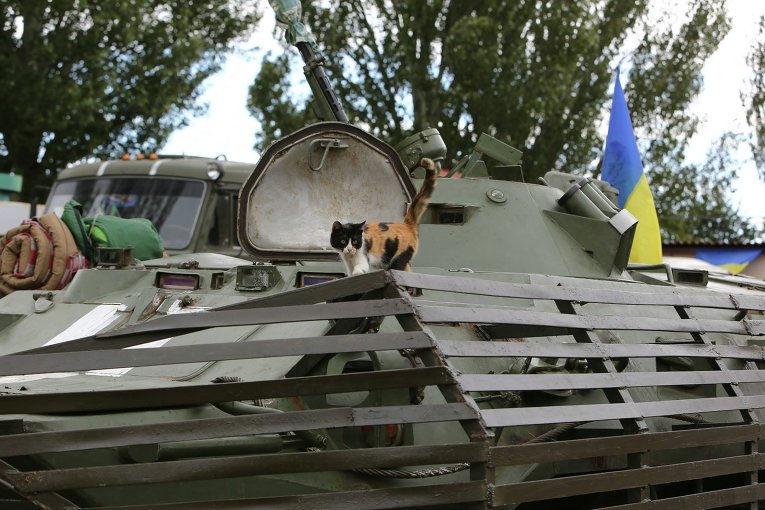 Украинские военные в районе Мариуполя