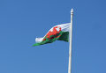 Флаг Уэльса