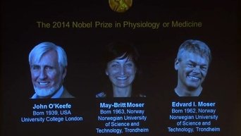 Нобелевская премия по медицине присуждена ученым О'Кифу и Мозерам. Видео