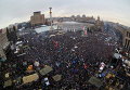 Евромайдан 15 декабря 2013 года