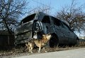 Последствия обстрела градами поселка Красный Пахарь под Донецком