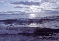 Беринговое море. Архивное фото