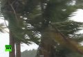 На Филиппины обрушился тайфун Хагупит