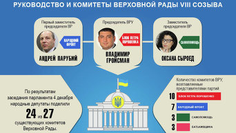 Руководство и комитеты Верховной Рады 8 созыва. Инфографика