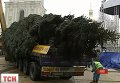 Новогодняя елка на Софиевской площади в Киеве