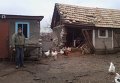 Ситуация в Крымском Луганской области. Архивное фото