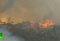 На юге Австралии полыхают неконтролируемые пожары. Видео