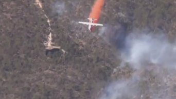 На юге Австралии свирепствуют лесные пожары. Видео