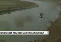 В Ганге обнаружили более 100 мертвых тел. Видео