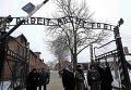 Мероприятия в память о 70-й годовщине освобождения Освенцима