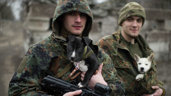 Украинские военнослужащие в Мариуполе