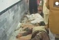 Теракт в Пакистане. Видео