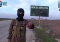 Сирия: исламисты отступили из Кобани
