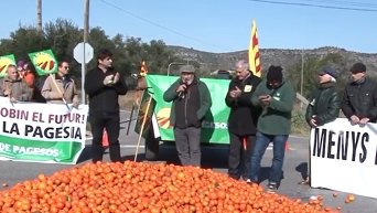 Фермеры в Испании уничтожают излишки урожая