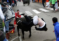 Бои быков в Испании