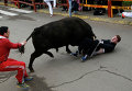 Бои быков в Испании