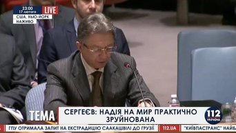 Юрий Сергеев на заседании СБ ООН. Видео