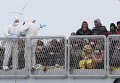 Мигранты в Италии