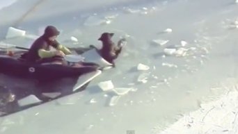Спасение собаки и ее хозяина, провалившихся под лед в Кентукки. Видео