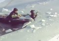 Спасение собаки и ее хозяина, провалившихся под лед в Кентукки. Видео