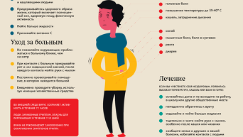Симптомы, лечение и профилактика гриппа. Инфографика