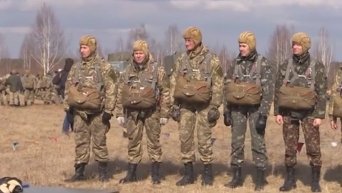 В Житомирской области стартовали учения мобилизованных военнослужащих. Видео