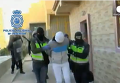 Испанская полиция ликвидировала ячейку джихадистов. Видео