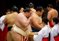 Борцы сумо в Японии