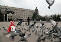 Ребенок играет с голубями на центральной площади Славянска, находящегося под контролем военных, 12 марта 2015 г