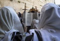 Еврейские верующие читают свиток Торы на Пасху
