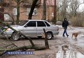 Ураган в Николаеве