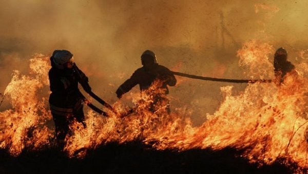 Лесные пожары в России. архивное фото