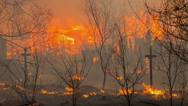 Лесные пожары в РФ