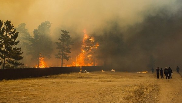 Лесной пожар в России. Архивное фото