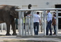 Виталий Кличко посетил столичный зоопарк