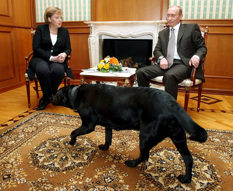 Канцлер Германии Ангела Меркель и президент РФ Владимир Путин