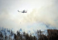 Лесные пожары в России. Архивное фото